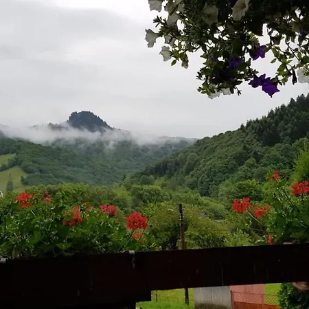 Pensiunea Casa Motilor Guest house Bucium (Alba)