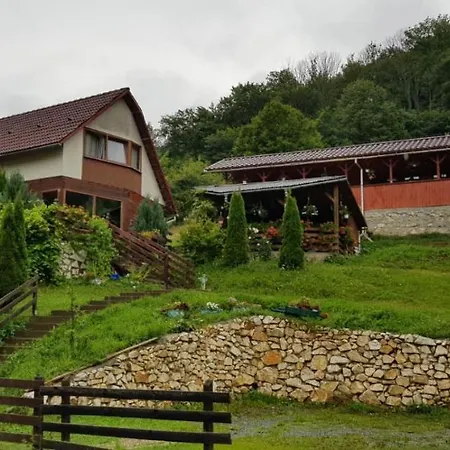Pensiunea Casa Motilor Guest house 3*