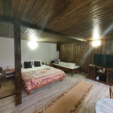 Pensiunea Casa Motilor 3*