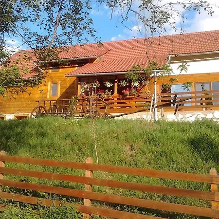 Pensiunea Casa Motilor