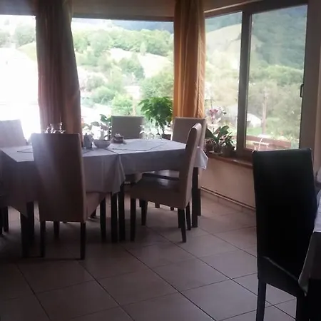Pensiunea Casa Motilor Bucium (Alba)