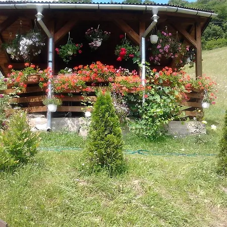 Pensiunea Casa Motilor Bucium (Alba)