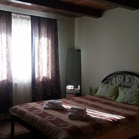 Pensiunea Casa Motilor Guest house Bucium (Alba)