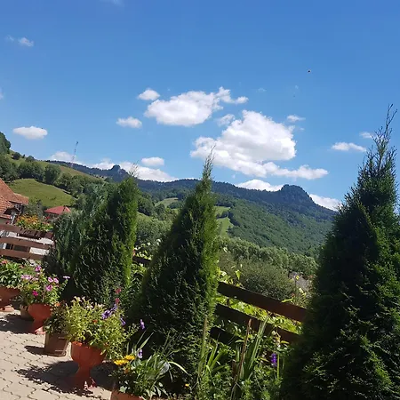 Pensiunea Casa Motilor