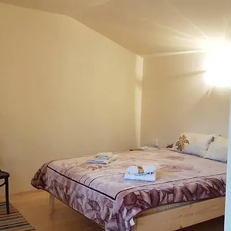 Pensiunea Casa Motilor 3*