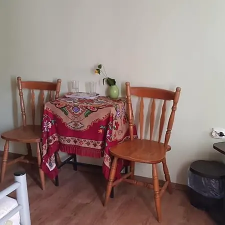 Pensiunea Casa Motilor Guest house Bucium (Alba)